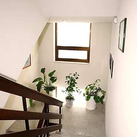 Ribadouro מלון *